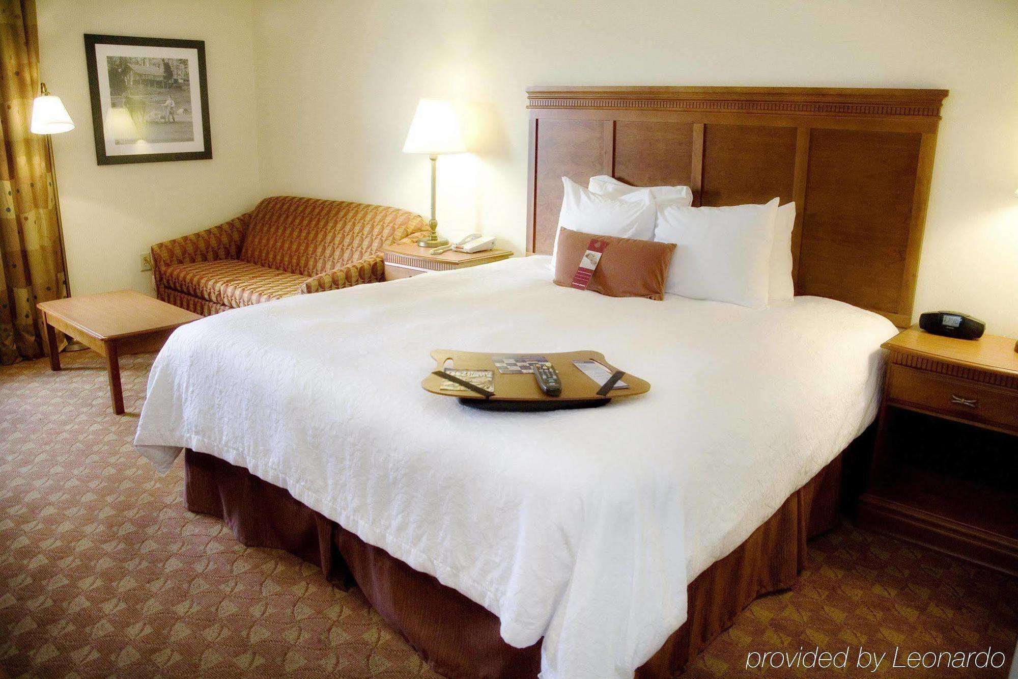 Hampton Inn & Suites Knoxville-Downtown Kamer foto